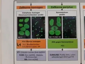 diagnostische-immunologie